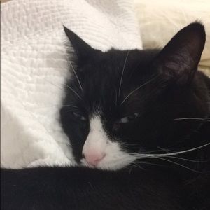 Meet your Posher, Maddie